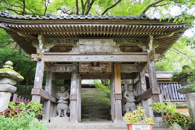 This is the wooden gate of Fukiji Temple, located on the Kunisaki Peninsula in Oita, Japan. The two statues of Nio, one Agyo and the other Ungyo, stand on either side of the gate.