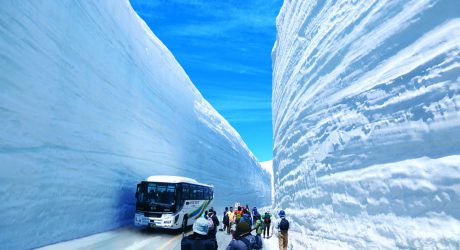 Under a blue sky, a high wall of snow continues on both sides of the road. This is a place on the Tateyama Kurobe Alpine Route in Toyama Prefecture, called Yuki no Otani, where tourists can walk along this road.